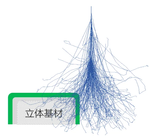 Customized EB 3D surface processing diagram